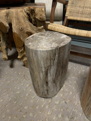 Kuno Petrified Wood Stool Stump