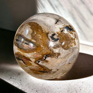 Petrified Wood Sphere Fossil Ball