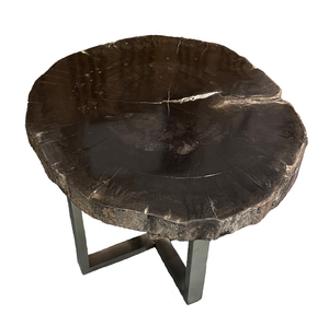 Mandira Petrified Wood Slab Side Table