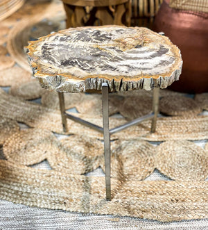 Mounu Petrified Wood Slab Side Table