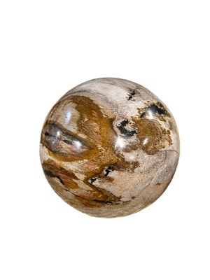 Petrified Wood Fossil Ball - Small