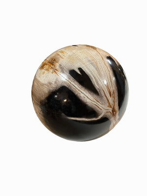 Petrified Wood Sphere Fossil Ball